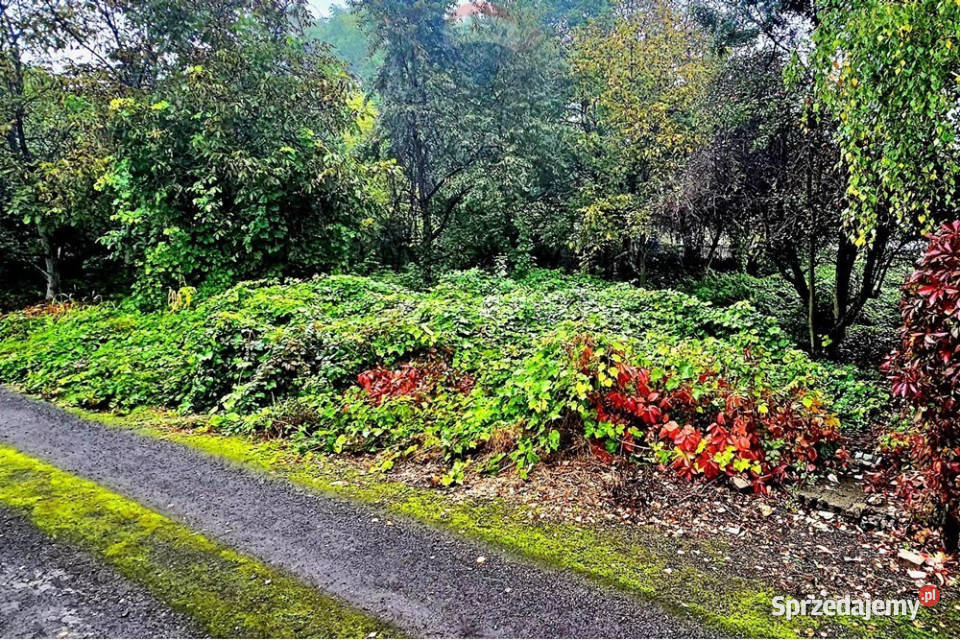 Działka budowlana centrum Dąbrowy Górniczej śląskie Dąbrowa Górnicza
