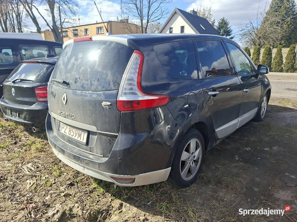 Renault Scenic 3 Grande 7osob Kostrzyn