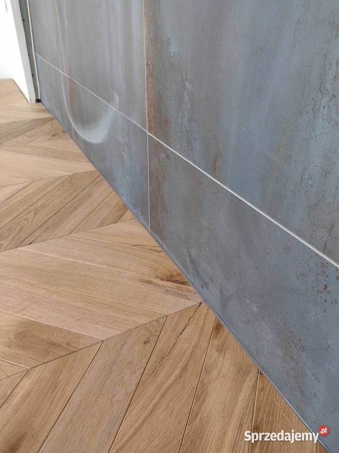 Jodła francuska Lublin