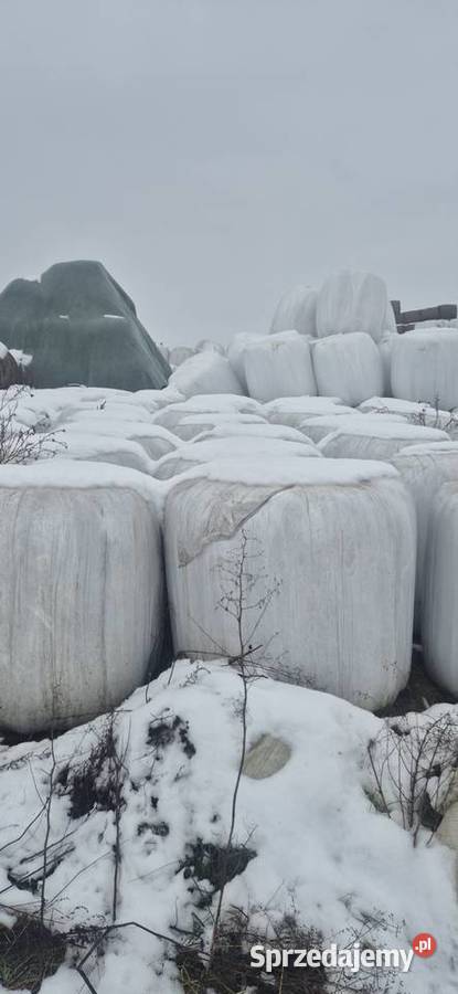 Sianokiszonka sprzedam