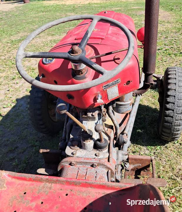 Massey ferguson Gniewkowo