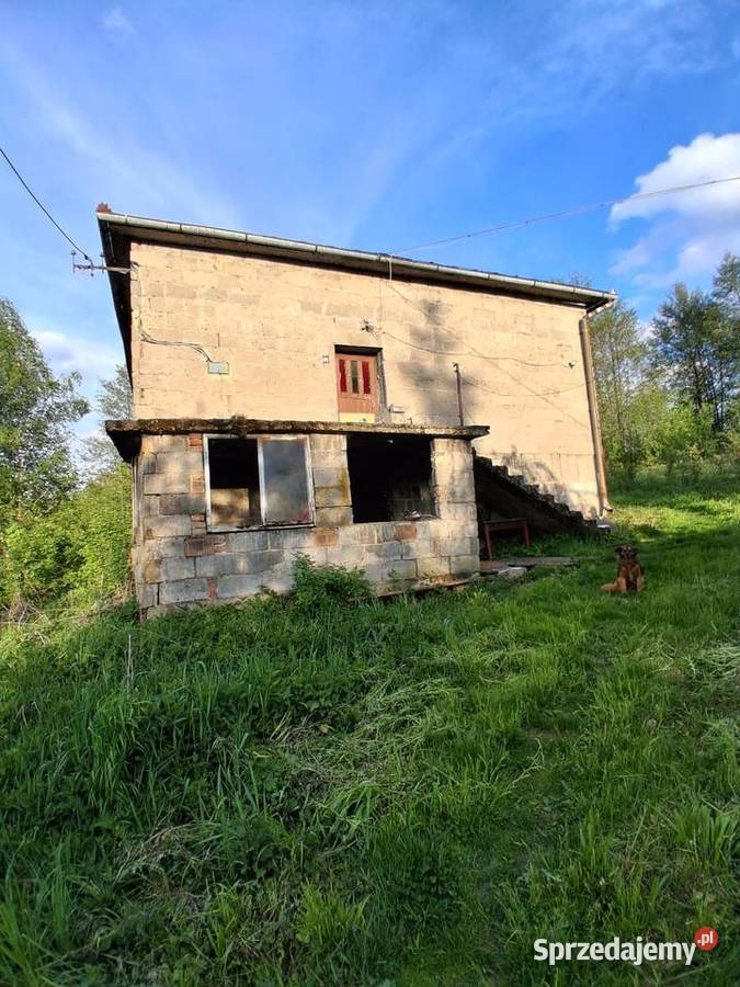 Działka zdomem i budynkiem gospodarczym 2500m2 Dębica