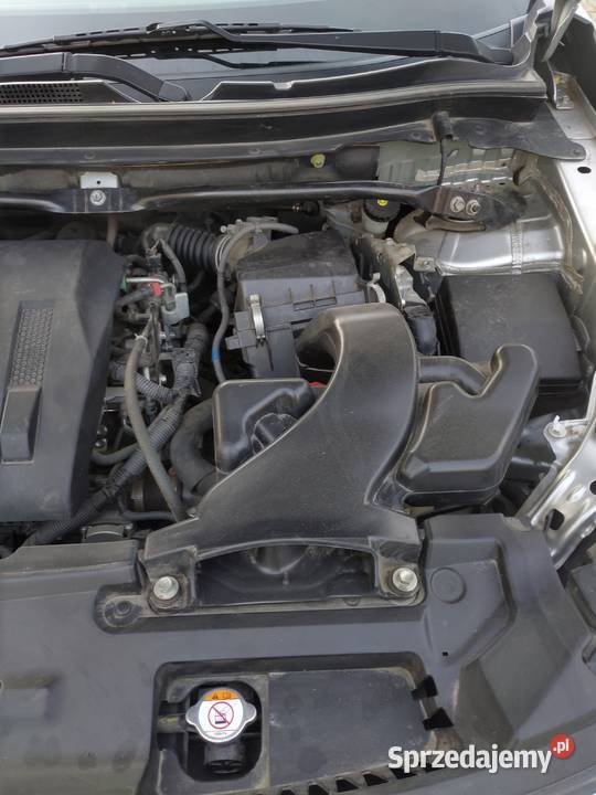 Bezwypadkowy stan Warszawa