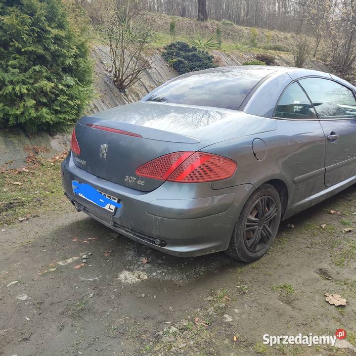 Peugeot 307 CC 2004 r LPG Rok produkcji 2004 Rzeszów