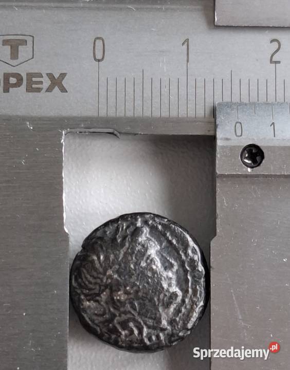 Antyczna Grecja moneta Aeolia Kyme III BC pomorskie Wejherowo