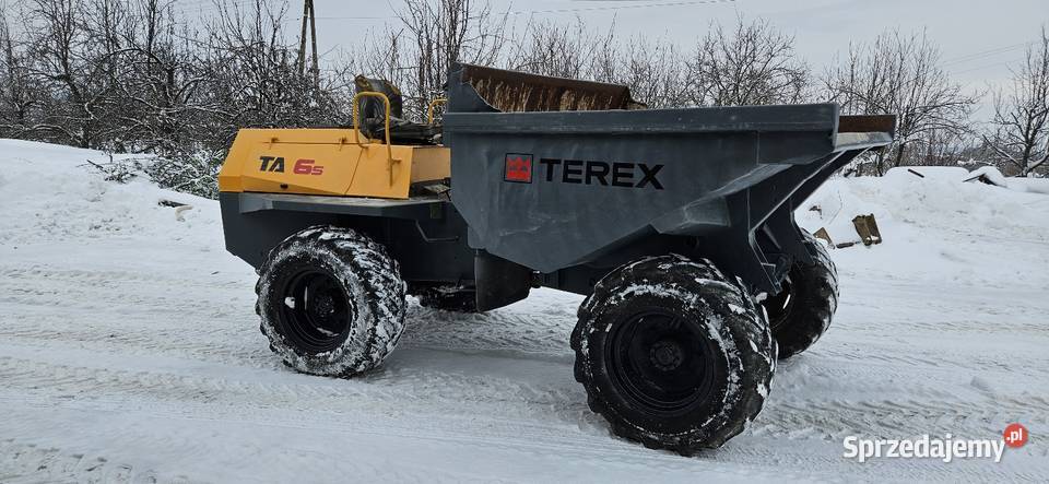 Wozidło terex 6ton Limanowa