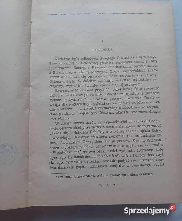 Karol Bunsch Ojcie c i syn 2 tomy w 1 Wydawn wielkopolskie Koźminek