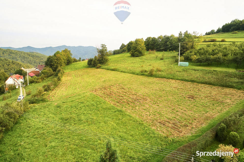 Działka budowlana 43 ary Ochotnica Dolna