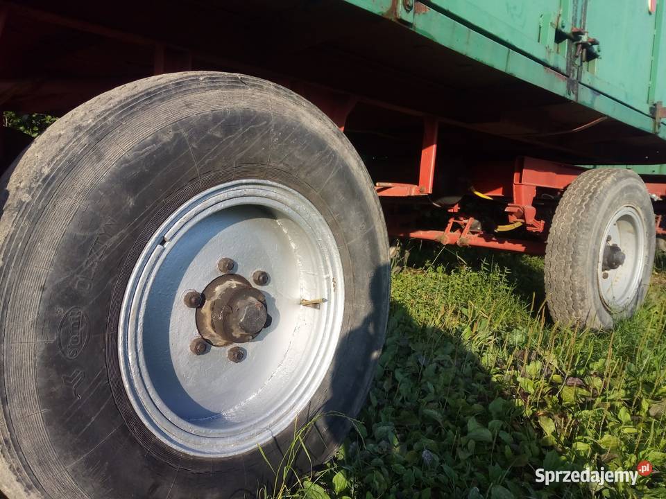 Przyczepa d46 8t pszenicy Chocznia