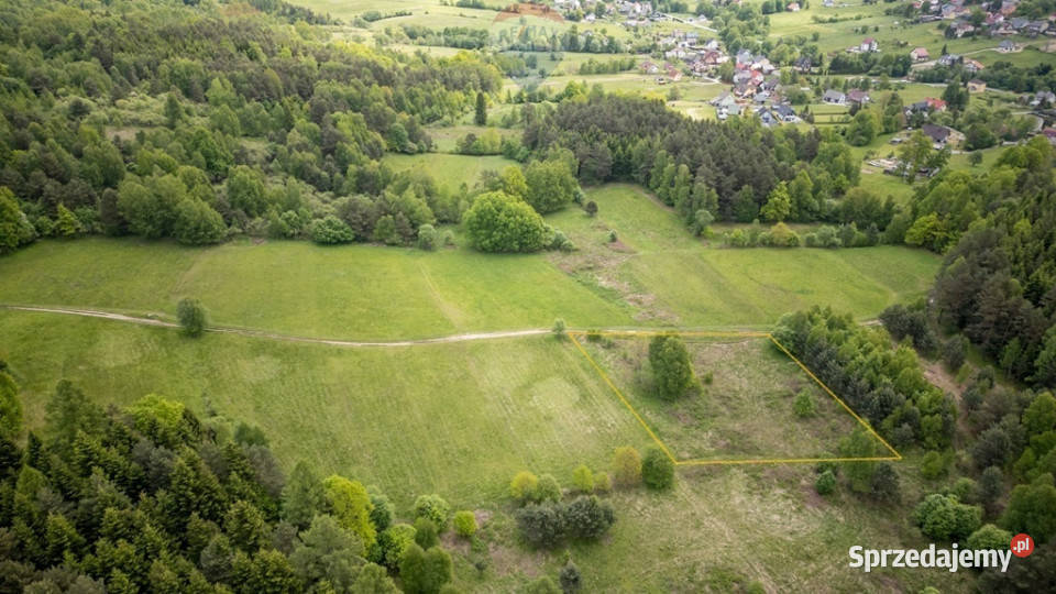 Widokowa działka na stoku wzgórza Gronik Krzeszów
