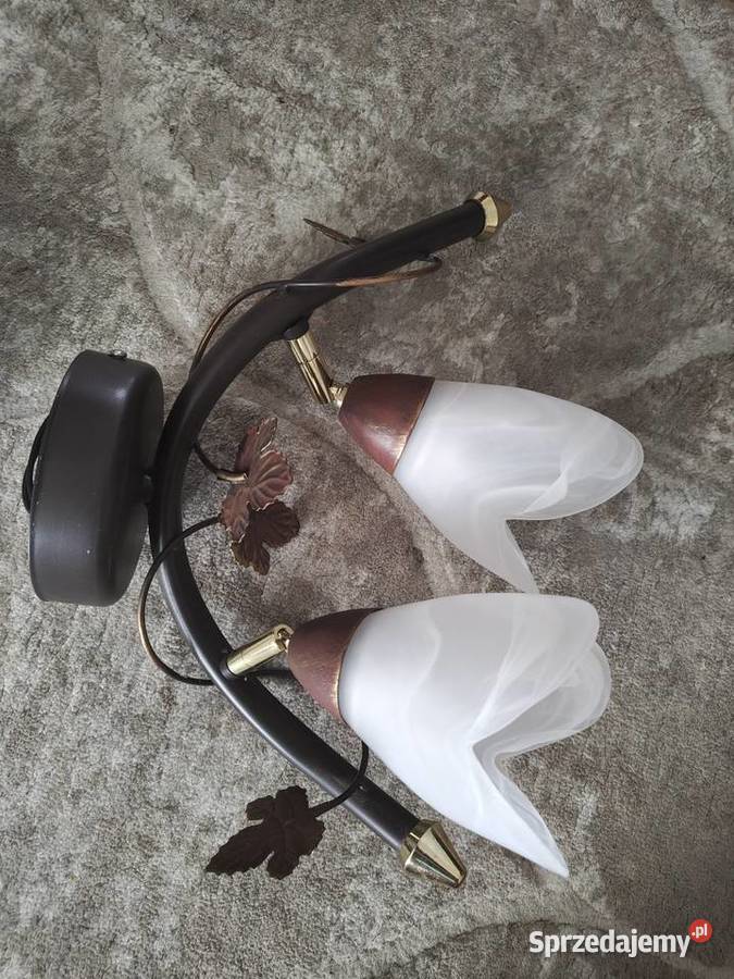 Lampy punktowe wiszące Dębica