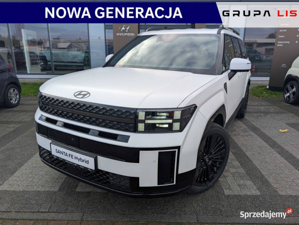 Caligraphy 16 TGDI HEV 6AT 4WD 6os Creamy White VAT marża Kalisz