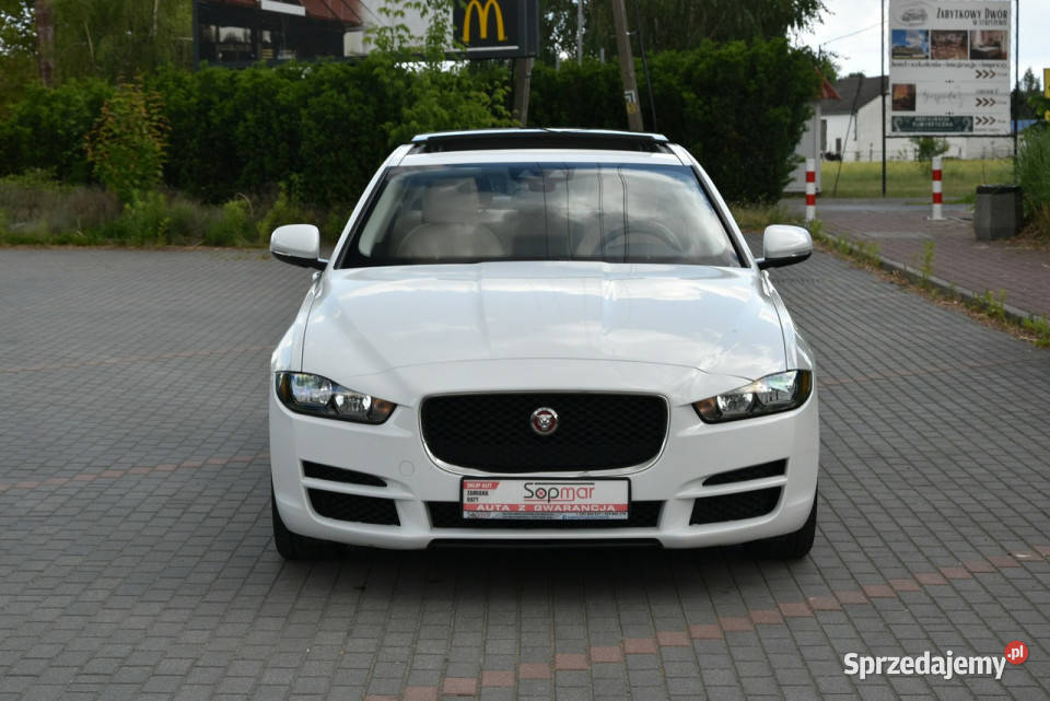 Jaguar XE 25T 20T 250 2018r Skóra Panorama I nawigacja Kampinos sprzedam