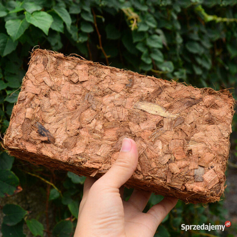 Chips kokosowy naturalny kokos CHIPS brykiet Bełk