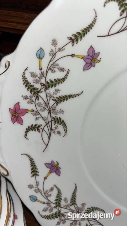 Serwis Fancy Free z Standart England Gdańsk