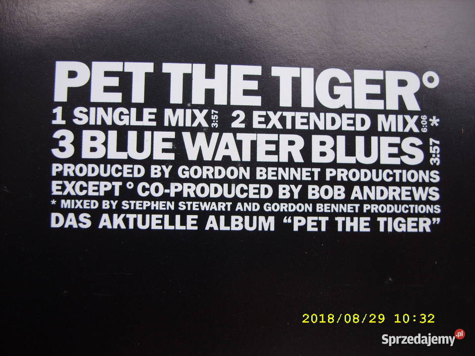 Rock CD singiel KATRINA THE WAVES 1991 Wołów