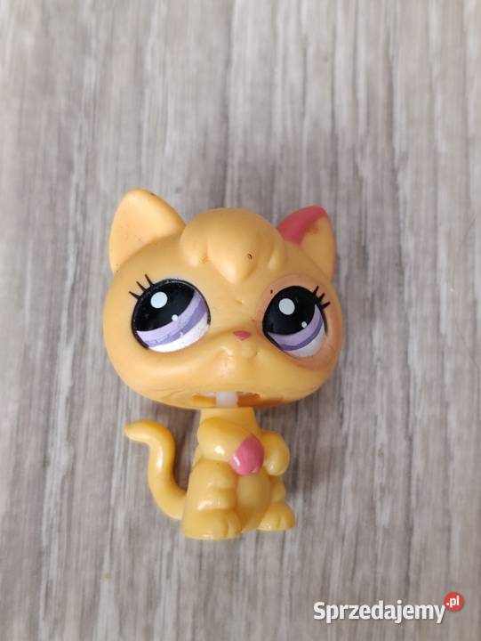 Littlest Petshop Szczeniak Kot Poznań