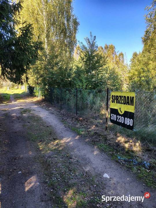 Działka rekreacyjna w Szczechach Małych jezioro Sprzedaż Szczechy Małe sprzedam