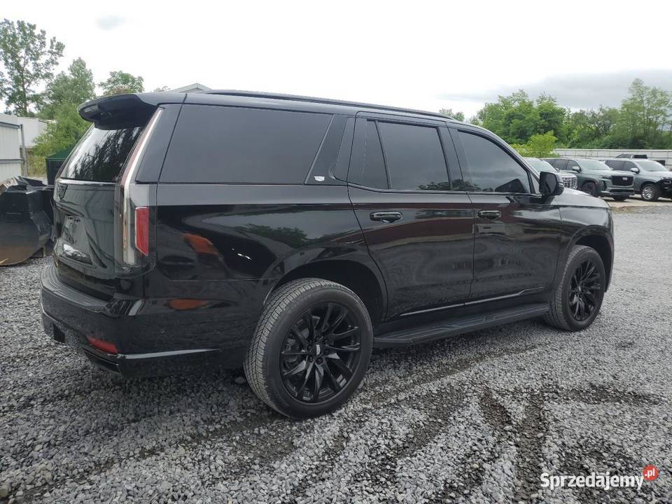 2021 CADILLAC ESCALADE SPORT PLATINUM automatyczna łódzkie Bełchatów