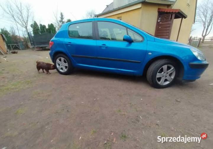 Peugeot 307 16HDI 110 Września