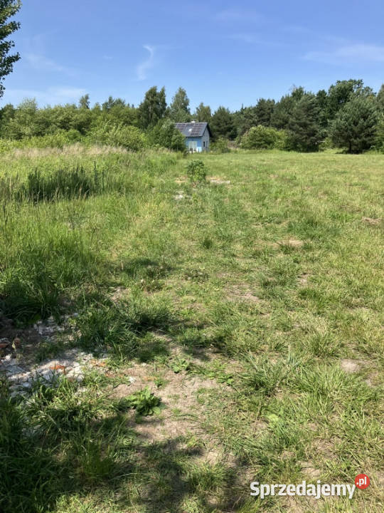 Urokliwa działka Żółwin Południowa 460zł/m2 sprzedam