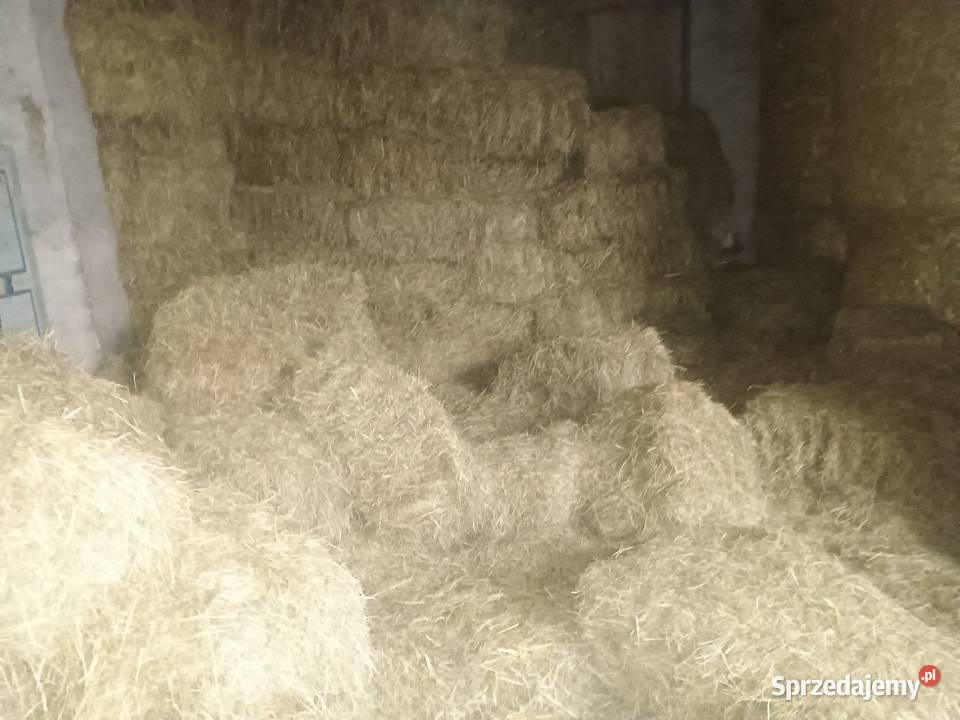 Siano w kostkach i słoma w belach 120 x 120 Opoczno
