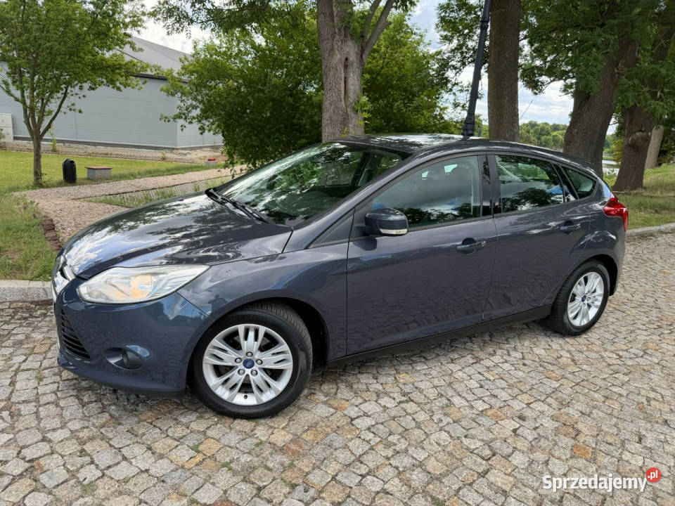 Ford Focus Ford Focus 16 TDCi DPF Champions sprzedam
