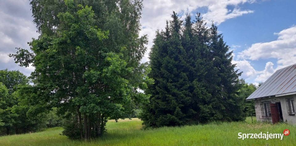 Sprzedam siedlisko 16 ha NIE potrzebna zgoda
