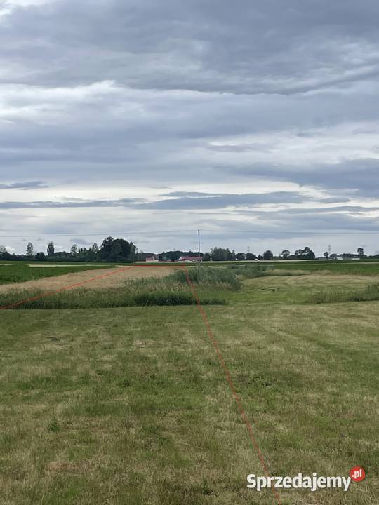 162 ha Siedlisko 4 ary działka orna i łąki Trojanów