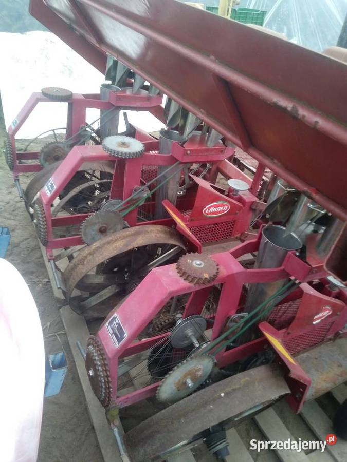 Sadzarka do warzyw karuzelowa lanen 4 rzędowa Łaszczów sprzedam