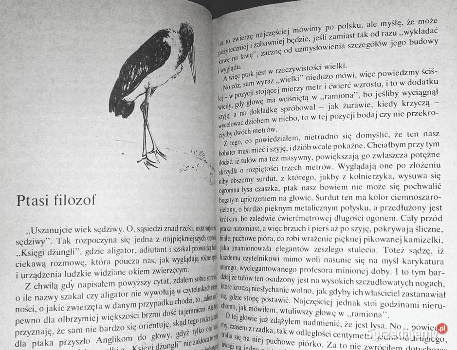 Hipopotam i spółka Jan Żabiński Rok wydania 1976 Chełm