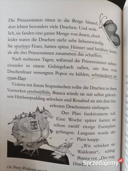 Książki w języku niemieckim niemiecki Wolsztyn