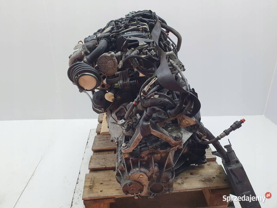 SILNIK KOMPLETNY Ford Focus II MK2 16 TDCI 109