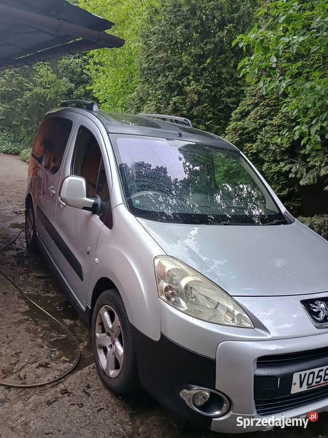 Peugeot Tepee 2008 Anglik STAN 290000km łódzkie