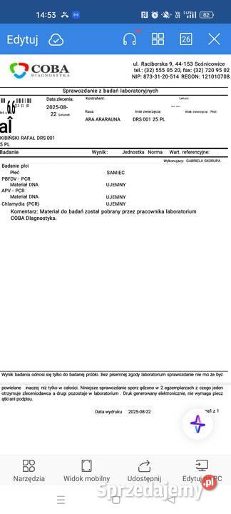 Sprzedam Are Araune opolskie