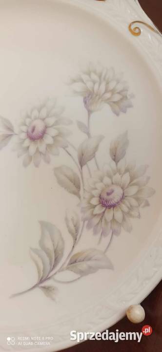 Talerz z astrami Paul Muller Selb 125 Z boku Gdańsk sprzedam