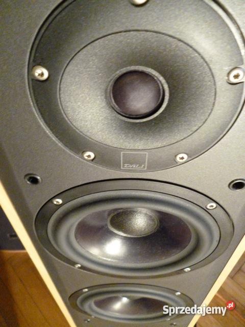 Dali blue 6006 mazowieckie