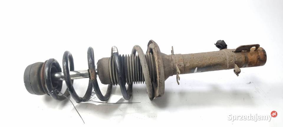 AMORTYZATOR LEWY PRZÓD SKODA OCTAVIA I kujawsko-pomorskie