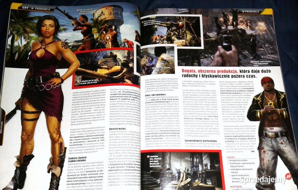 CDAction 08 2011 194 Chełm