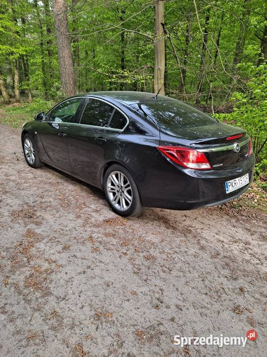 Opel Insignia 20cdti 250123km Kobylin