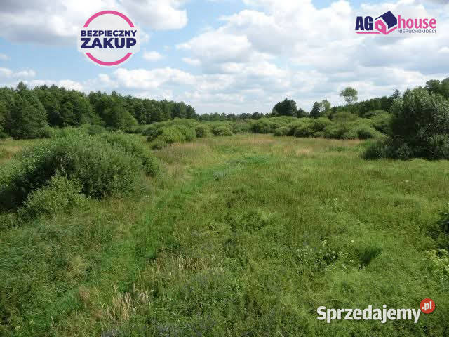 Sprzedam grunt Ciechocin 23800 metrów 8zł/m2 sprzedam