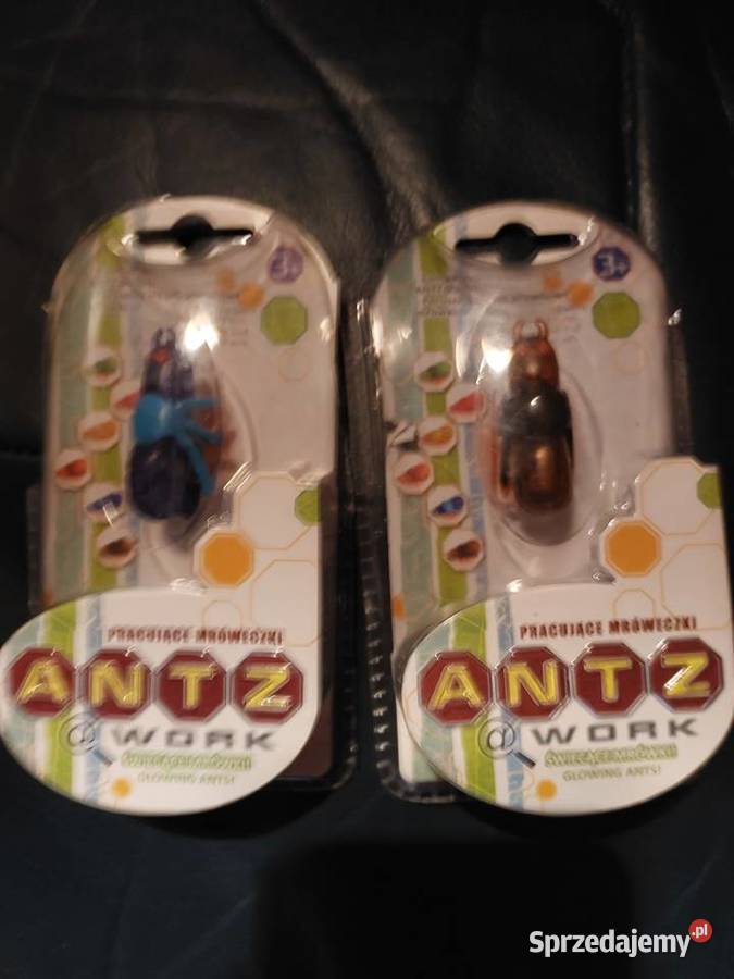 Mrówka ANTZ Work 3 Wrocław sprzedam