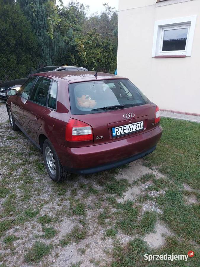 Audi A3 8L 16 benzyna gaz Rok produkcji 2002 A3 Trzciana sprzedam