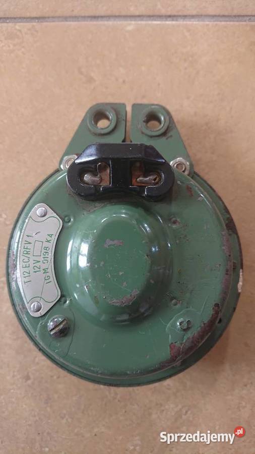 Fiat 600 multipla i 600 pierwsza seria Motoryzacja Wola Grzymkowa