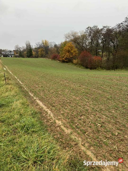 Działka 35 arów Krasieniec Stary prąd i woda rolna