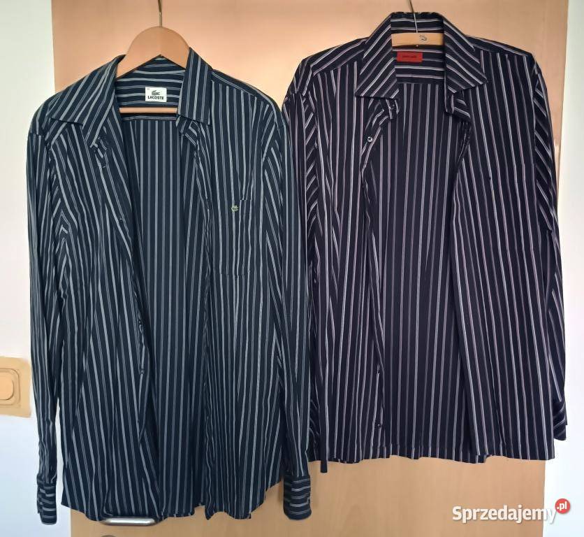 zestaw 3 koszul XL lacoste pierrecardin hilfiger wielkopolskie sprzedam