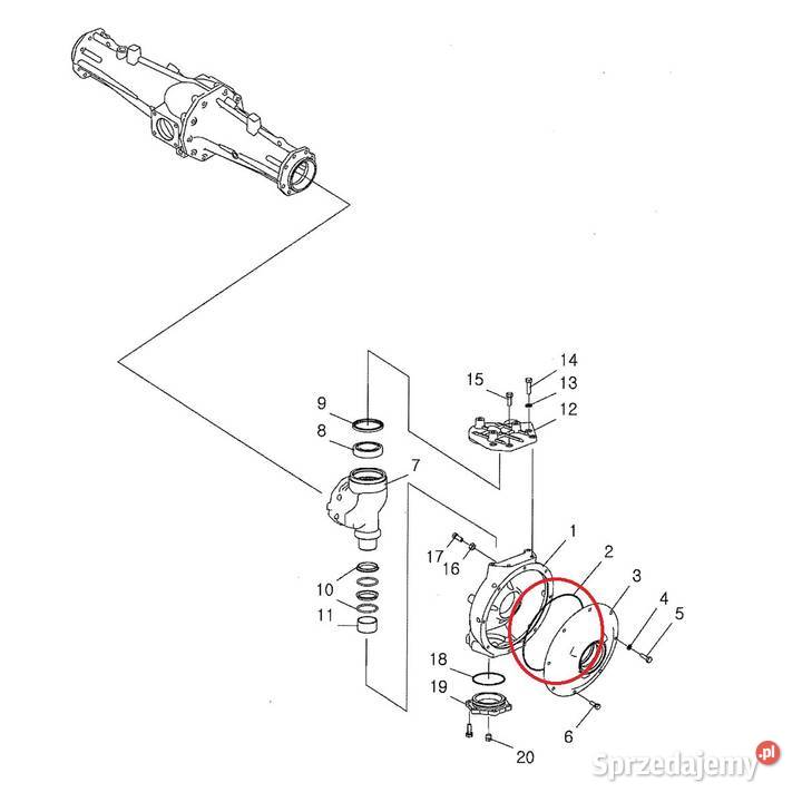 Oring zwolnicy 40060839 LS Tractor Tajęcina