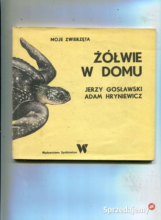 Żółwie w domu Gosławski Hryniewicz zachodniopomorskie Szczecin