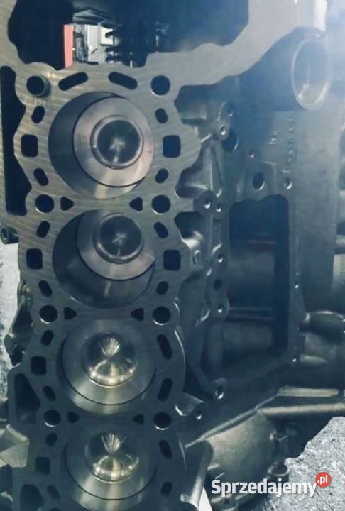 Sprzedam silnik 448dt 44d Range Rover Vogue Land Luboń