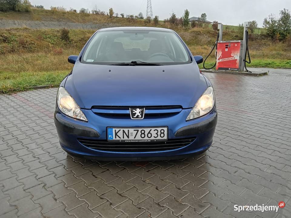 Peugeot 307 16 164 Przebiegu małopolskie Grybów
